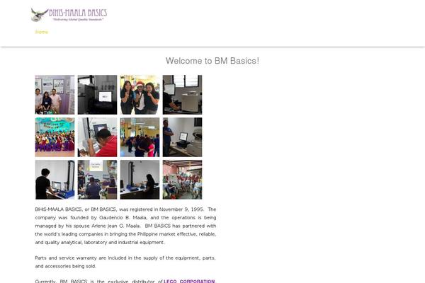 bmbasics.com site used Bm-basics
