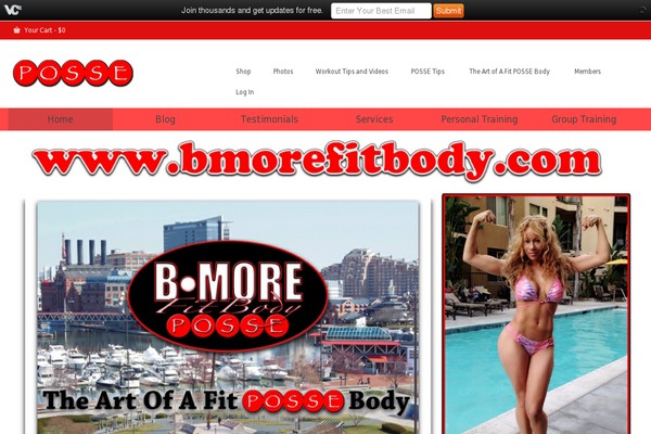 WordPress website example screenshot