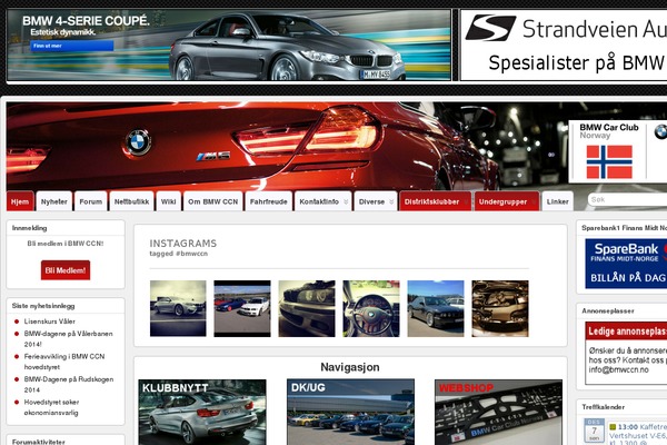 Neve theme site design template sample