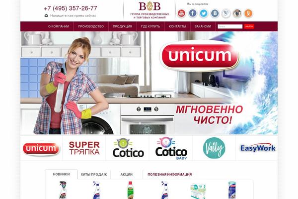 bnb-company.ru site used Bnb2021