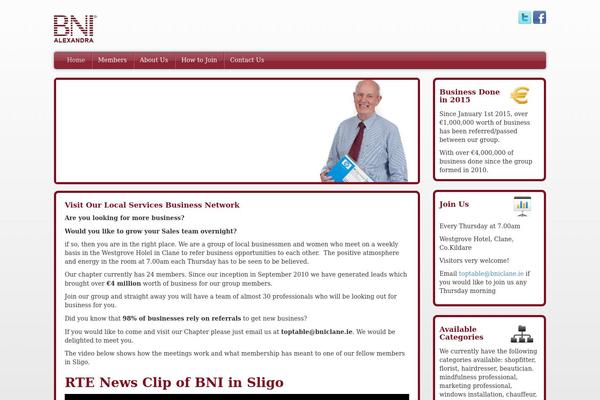 bni theme websites examples