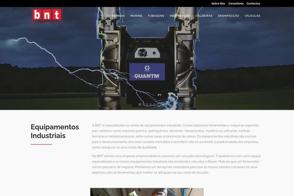 Bridge theme site design template sample