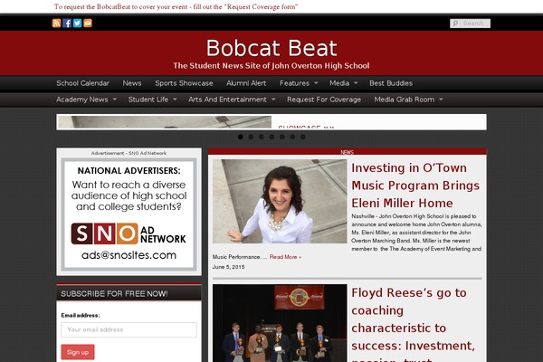 WordPress website example screenshot