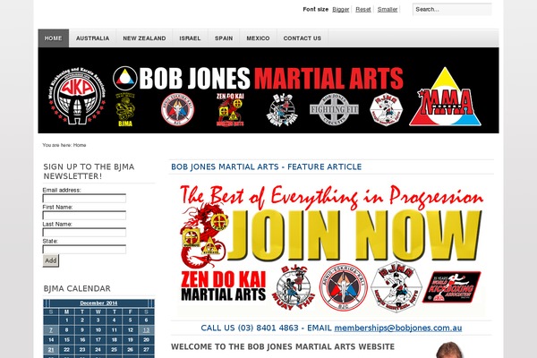 Divi theme site design template sample