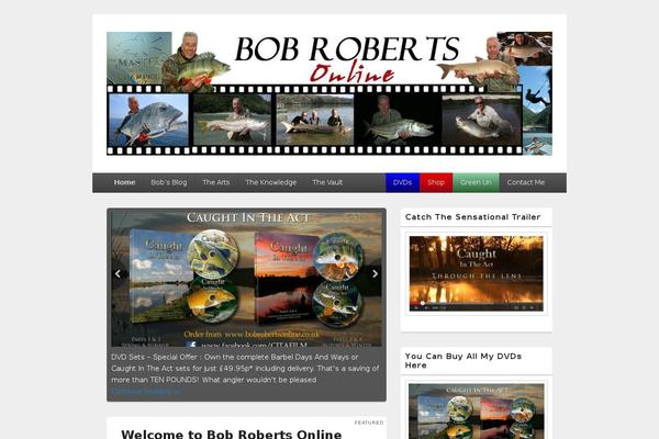 Catch Box Pro theme site design template sample