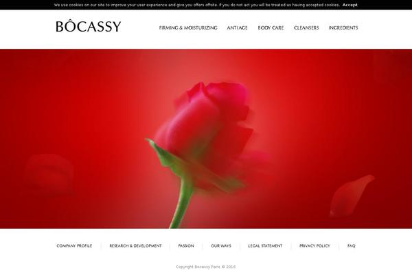 bocassy.com site used Bocassy