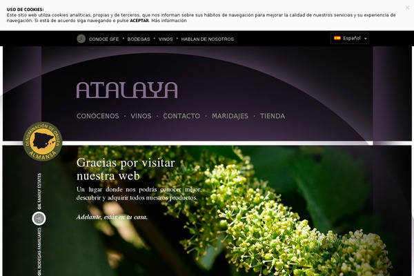 bodegasatalaya.es site used Gfe-atalaya