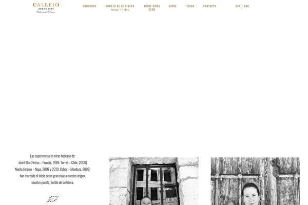 Villenoir-child theme site design template sample