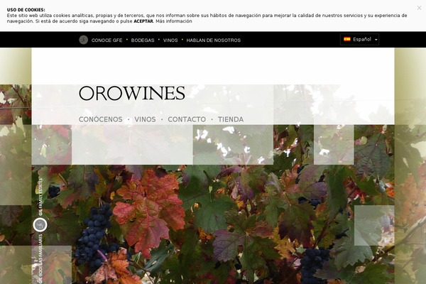 bodegasorowines.com site used Gfe-orowines