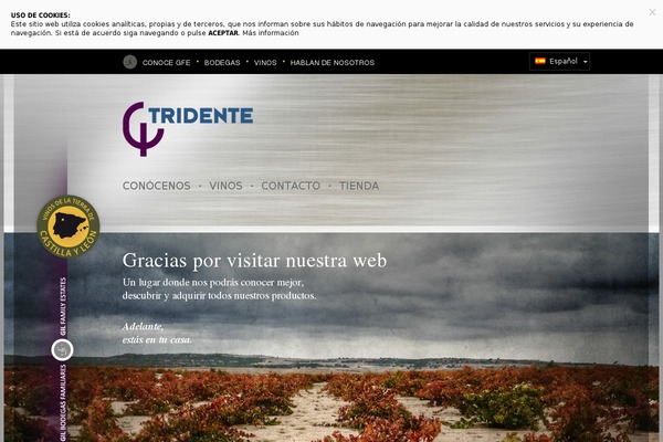bodegastriton.es site used Gfe-tridente