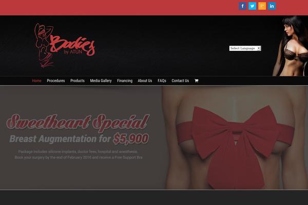 WordPress website example screenshot