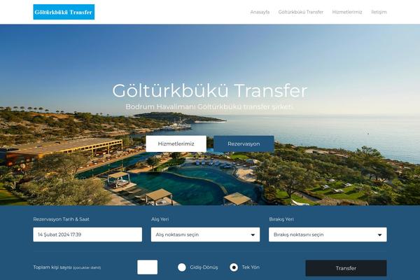 Transfers theme site design template sample