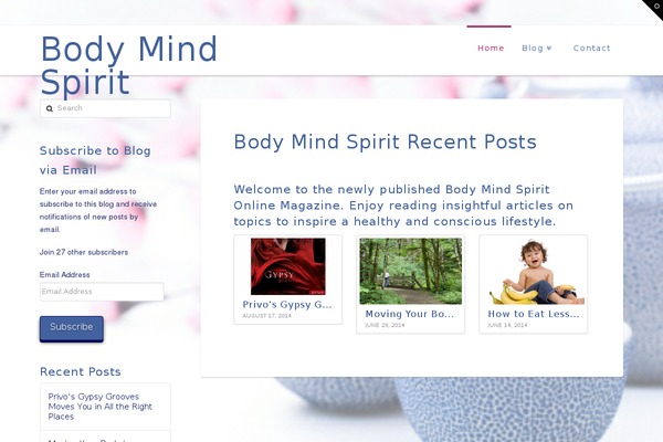 Magazine Pro theme site design template sample