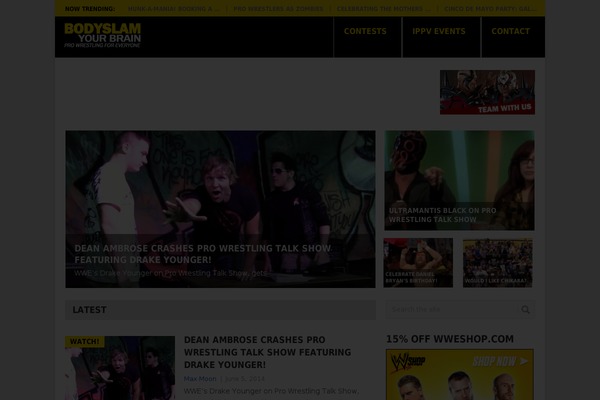 Point theme site design template sample