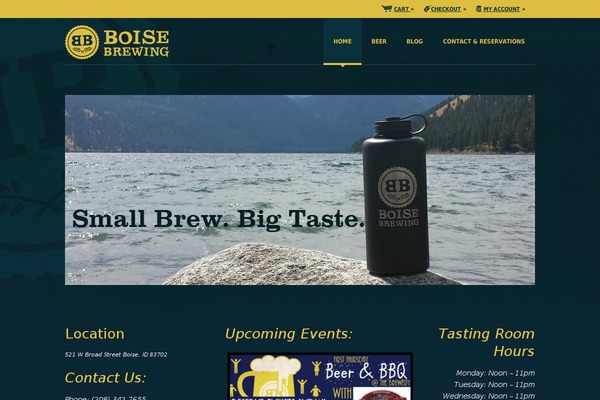 WordPress website example screenshot