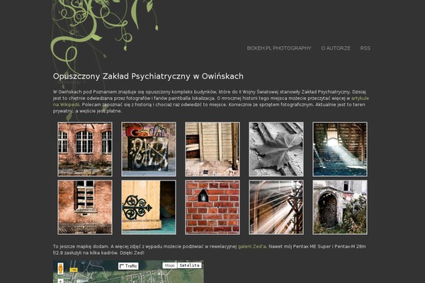 5thirtyone_foliage theme websites examples