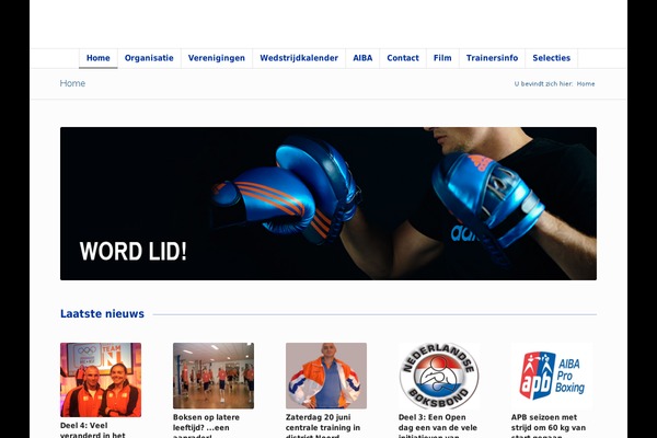 Enfold theme site design template sample