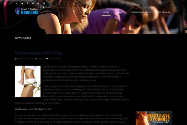 Eptima Lite theme site design template sample