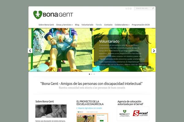 Chameleon theme site design template sample