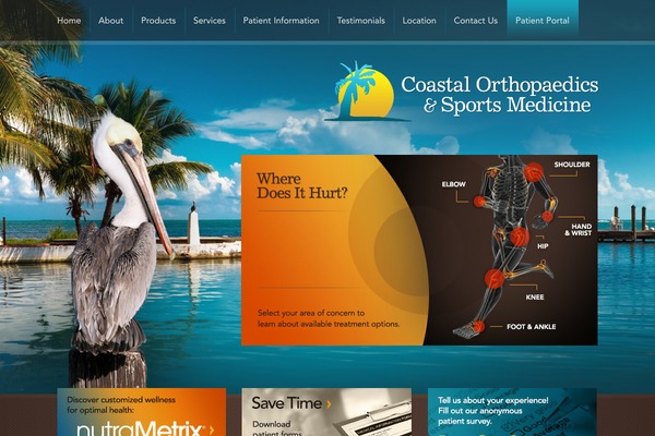 bone-dr.com site used Bone-dr