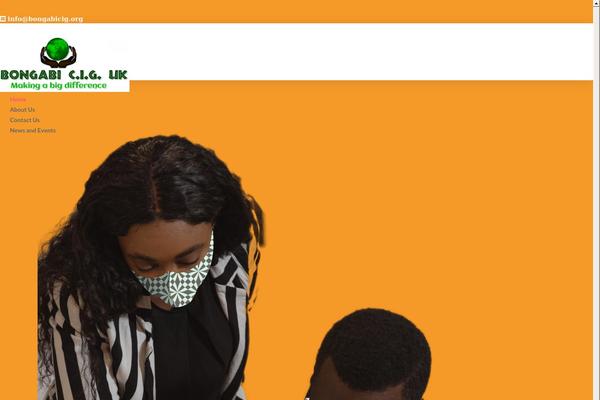 Pro theme site design template sample