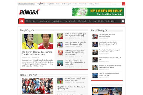 Sahifa theme site design template sample