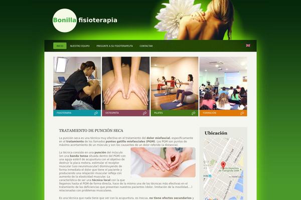 bonillafisioterapia.es site used Theme979