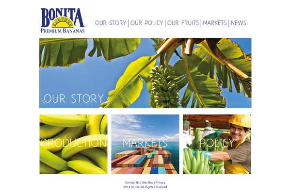 bonita.com site used Bonita
