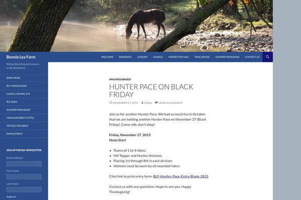 Twenty Fourteen theme site design template sample