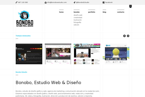 bonoboestudio.com site used Archivo-comprimido