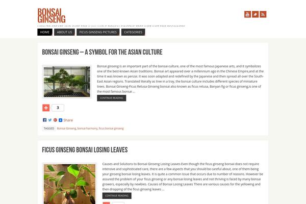 WordPress website example screenshot