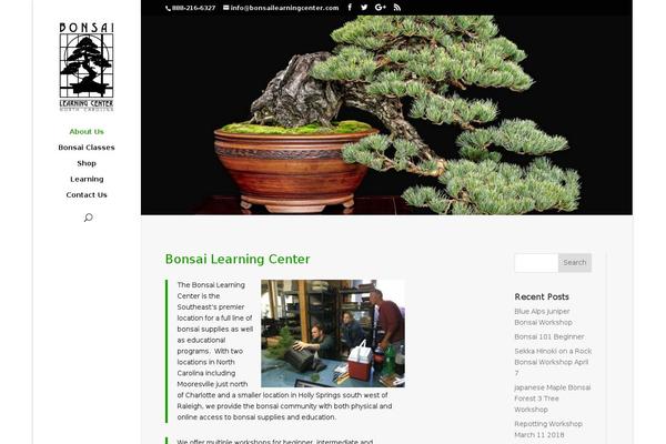 Divi theme site design template sample