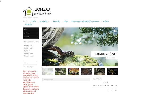 Kallyas theme site design template sample