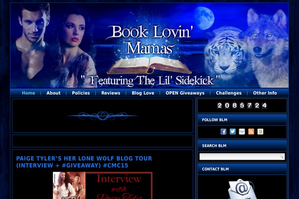 BLM WordPress theme, websites list used BLM theme BLM theme websites examples