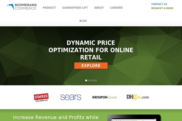 Boomerang theme websites examples