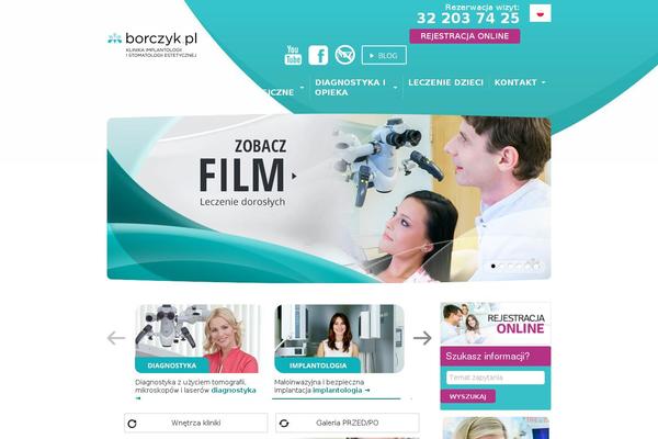 borczyk theme websites examples