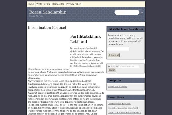 borenscholarship.com site used Borenscholarship