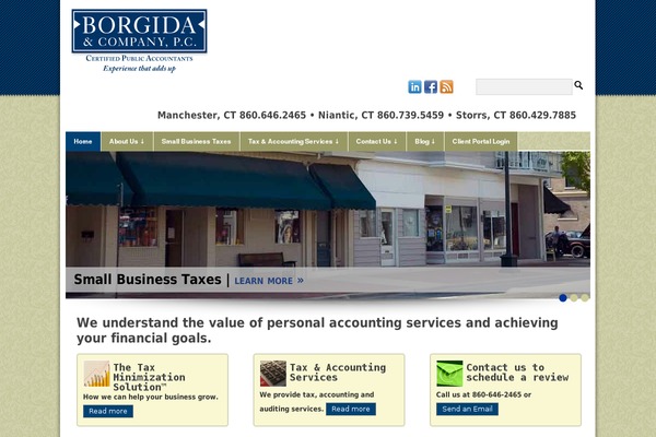borgidacpas.com site used Borgida