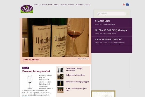 Twenty Eleven theme site design template sample