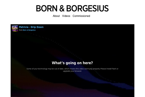 born-borgesius.com site used Bornborgesius1
