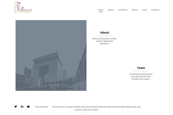 Apicona theme site design template sample