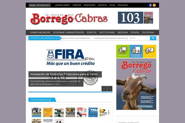 borrego.com.mx site used Effectivenews