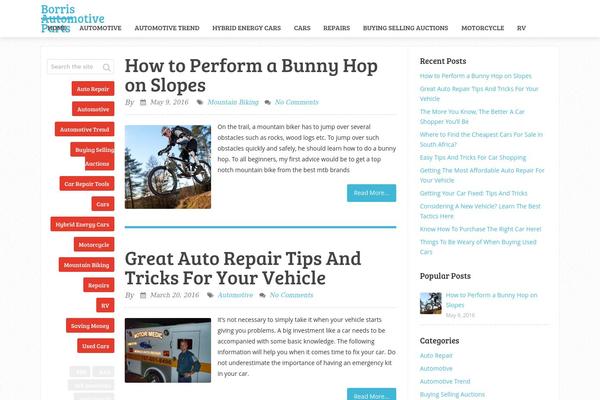 WordPress website example screenshot