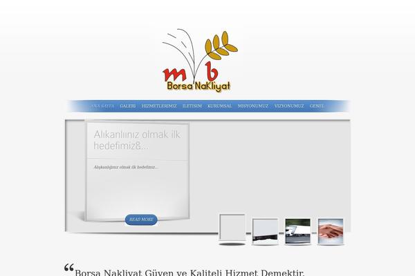 borsanakliyat.com site used Borsanakliyat