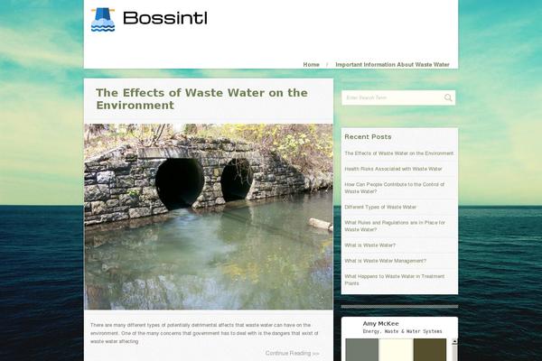 bossintl.co.uk site used Instinct