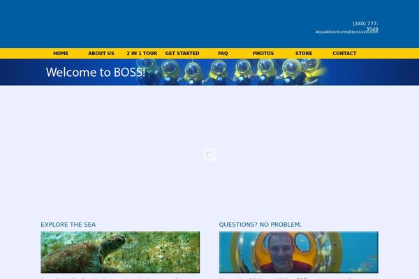 bossusvi.com site used Oceanc