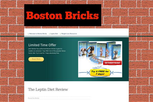bostonbricks.com site used ToomMorel Lite