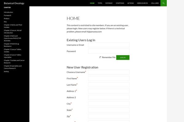 WordPress website example screenshot