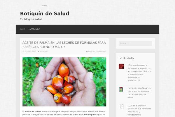 WordPress website example screenshot