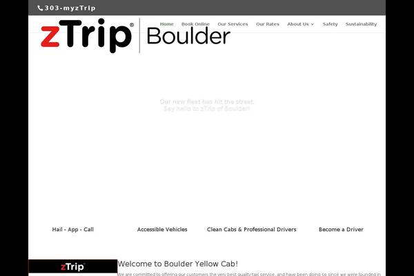 Divi theme site design template sample